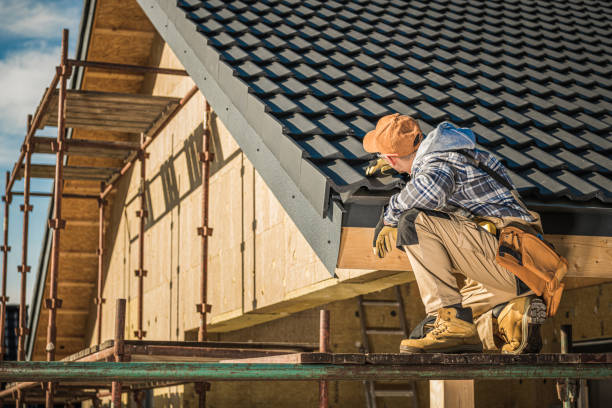 Best New Roof Installation  in Havre, MT